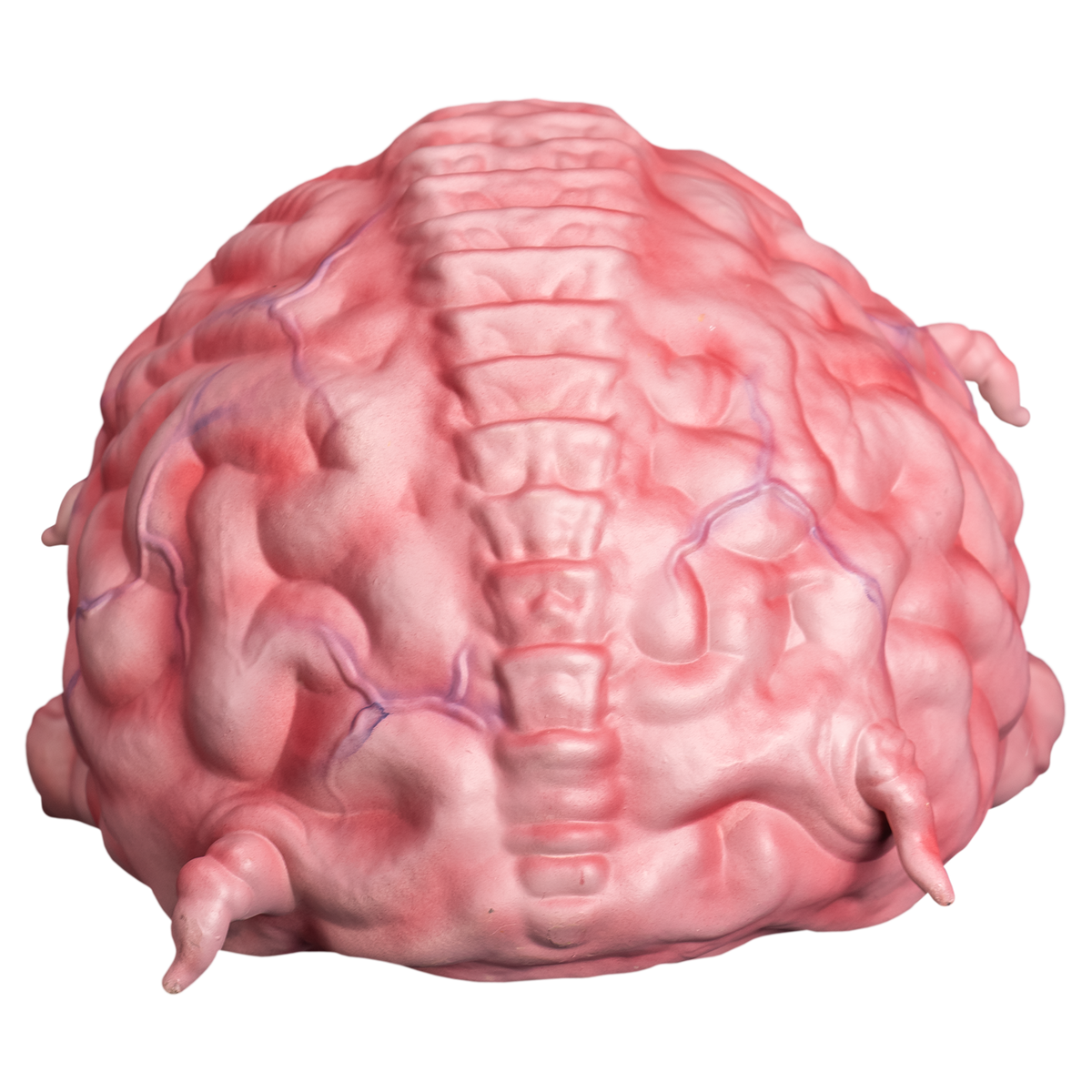*PRE-ORDER* Teenage Mutant Ninja Turtles - Krang Prop
