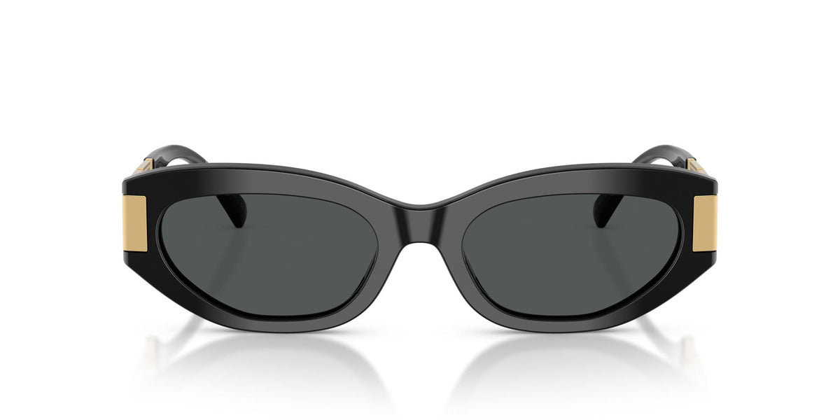 Versace VE4501