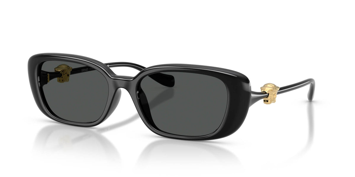 Versace VE4504D