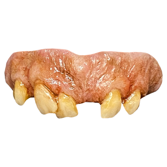 The Texas Chainsaw Massacre 2 - Leatherface Teeth